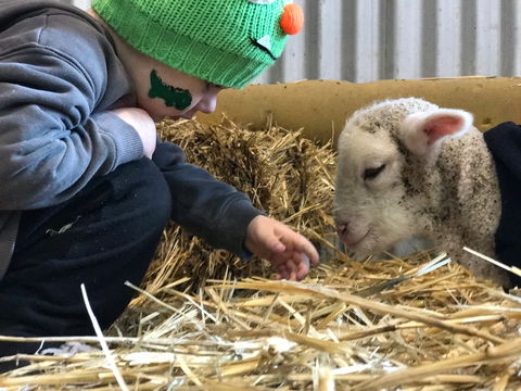 Horsham Agricultural Show - Accommodation Sunshine Coast 0