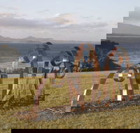 Sculpture Bermagui - Accommodation Sunshine Coast