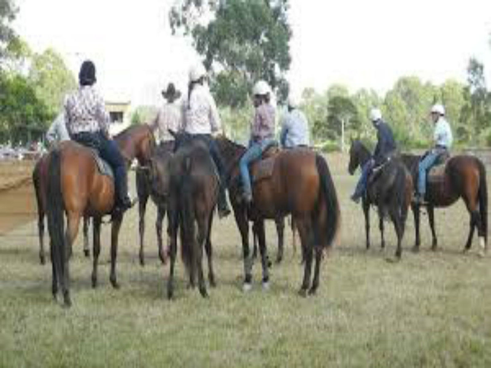 Allworth NSW Accommodation Sunshine Coast