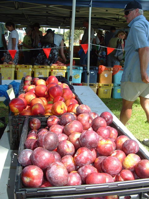 The Farmers Market On Manning - Accommodation Sunshine Coast 0