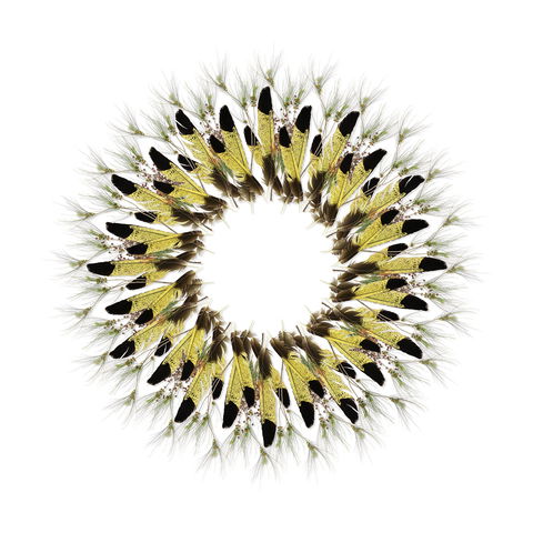 Adelaide Parklands Art Prize  Finalists Exhibition & Sale 2020 - Accommodation Sunshine Coast 1
