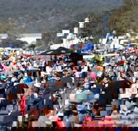 AgQuip - Accommodation Sunshine Coast