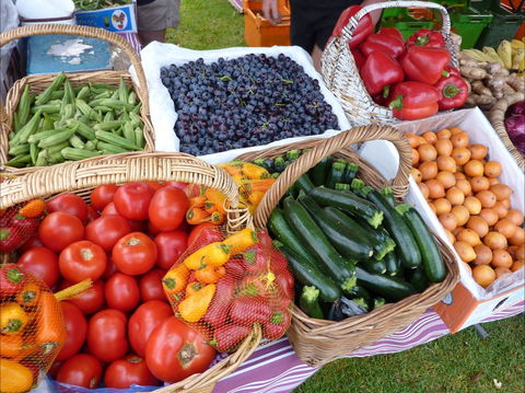 Armidale Farmers' Market - Accommodation Sunshine Coast 1