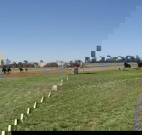 Balranald Races -Derby Day - Accommodation Sunshine Coast