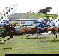 Bong Bong Picnic Races - Accommodation Sunshine Coast