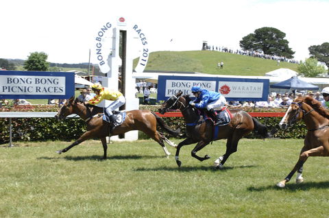 Bong Bong Picnic Races - Accommodation Sunshine Coast 0
