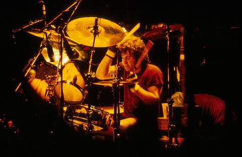 Bon But Not Forgotten - Accommodation Sunshine Coast 0