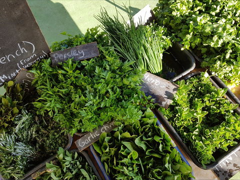 Carlton Farmers' Market - Accommodation Sunshine Coast 2