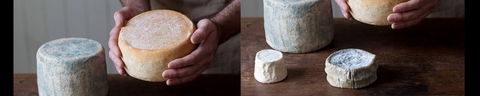 Cheese Making Basics Class - Accommodation Sunshine Coast 0