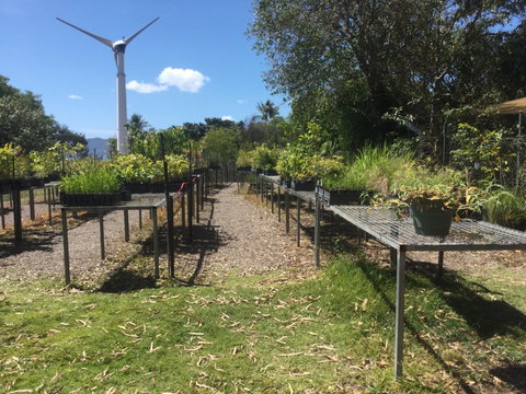 Conservation Volunteers Australia Townsville - Ocean View Nursery - Accommodation Sunshine Coast 0