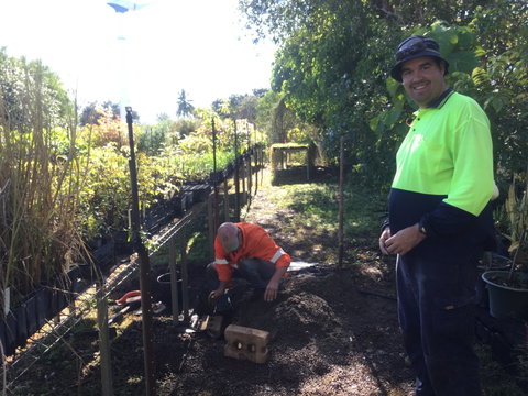 Conservation Volunteers Australia Townsville - Ocean View Nursery - Accommodation Sunshine Coast 1