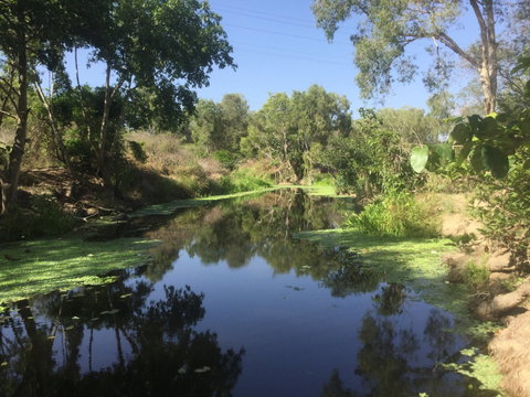 Conservation Volunteers Australia Townsville - Creekwatch - Accommodation Sunshine Coast 0