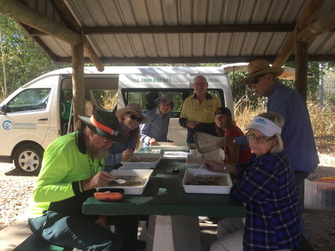 Conservation Volunteers Australia Townsville - Creekwatch - Accommodation Sunshine Coast 1