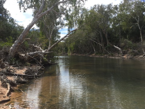 Conservation Volunteers Australia Townsville - Creekwatch - Accommodation Sunshine Coast 2