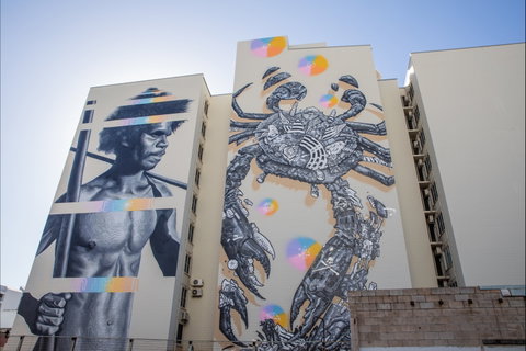 Darwin Street Art Festival - Accommodation Sunshine Coast 2