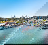 Fred Williams Aquatic Festival - Accommodation Sunshine Coast