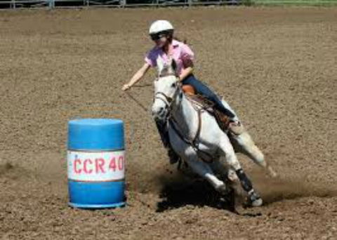 Glen William Gymkhana - Accommodation Sunshine Coast 2