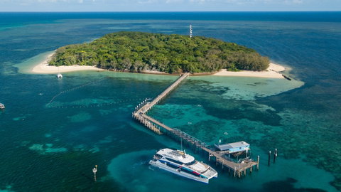 Great Adventures Green Island Ocean Swim - Accommodation Sunshine Coast 0