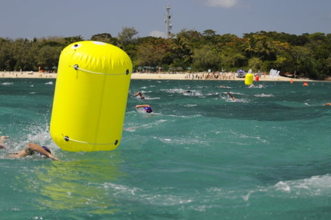 Great Adventures Green Island Ocean Swim - Accommodation Sunshine Coast 1