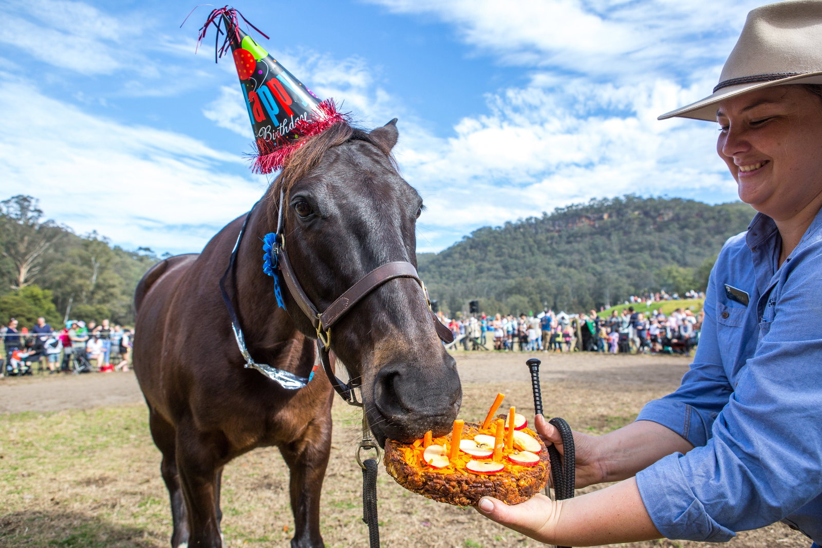 Glenworth Valley NSW Accommodation Sunshine Coast