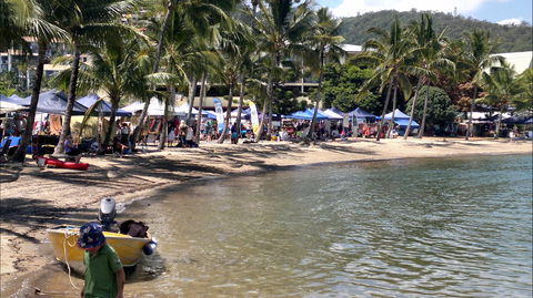 Lions Airlie Beach Community Markets - Accommodation Sunshine Coast 0