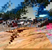 Maleny Wood Expo From Seed to Fine Furniture - Accommodation Sunshine Coast