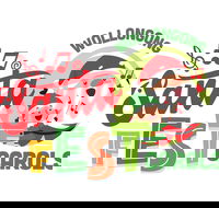 McDonalds Illawarra Santa Fest Carols Wollongong - Accommodation Sunshine Coast