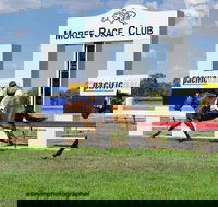 Moree Race Club TAB Race Day - Accommodation Sunshine Coast