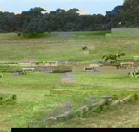 Mount Gambier and District Pony Club Horse Trials 2020 - Accommodation Sunshine Coast