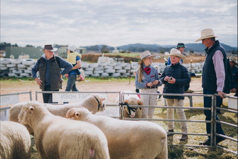 Mudgee Small Farm Field Days - Accommodation Sunshine Coast 0
