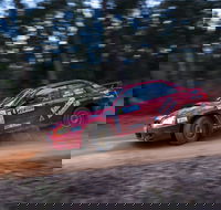 Narooma Forest Rally - Accommodation Sunshine Coast