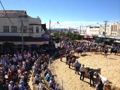 NCMC Casino Beef Week - Accommodation Sunshine Coast 0