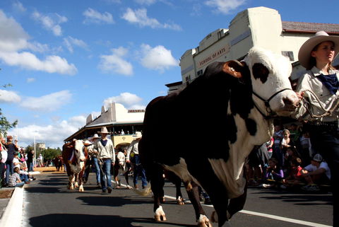 NCMC Casino Beef Week - Accommodation Sunshine Coast 1