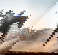 Rodeo by the Sea - Streaky Bay - Accommodation Sunshine Coast