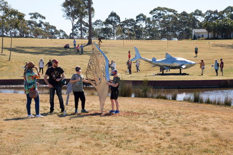 Sculpture For Clyde - Outdoor Exhibition - Accommodation Sunshine Coast 2