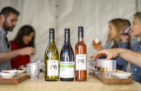 Southern Highlands Food And Wine Festival - Accommodation Sunshine Coast 2