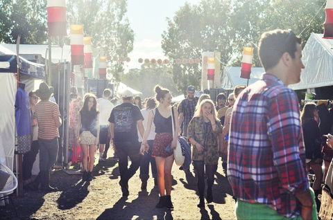 Splendour In The Grass - Accommodation Sunshine Coast 1