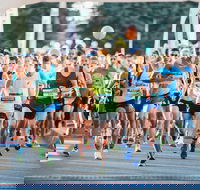 The Canberra Times Marathon Festival - Accommodation Sunshine Coast