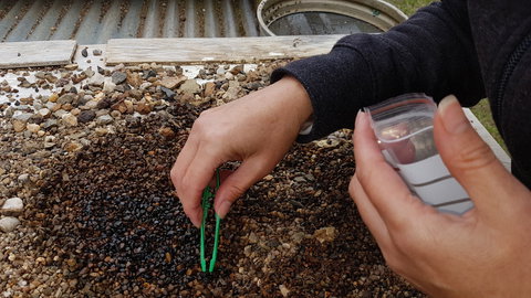 The Minerama Fossicking, Gem And Jewellery Show - Accommodation Sunshine Coast 1