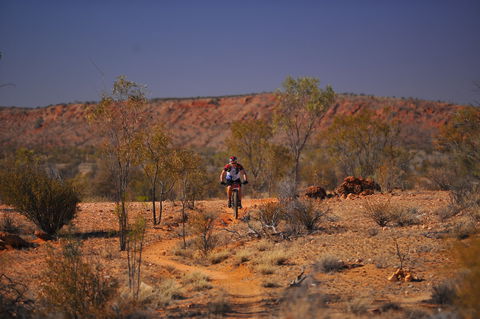 The Redback - Accommodation Sunshine Coast 2
