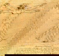 The Real Da Vinci Code - Accommodation Sunshine Coast