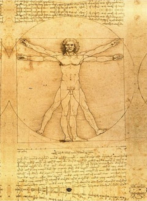 The Real Da Vinci Code - Accommodation Sunshine Coast 0