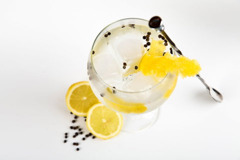 Online Live Streaming Class: Make Four Gin Cocktails - Accommodation Sunshine Coast 0