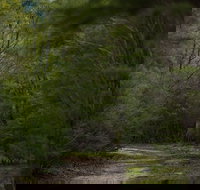 Yering Gorge Cottages - Accommodation Sunshine Coast