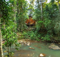 The Canopy Rainforest Treehouses and Wildlife Sanctuary - Accommodation Sunshine Coast