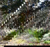 The Bower at Broulee - Accommodation Sunshine Coast