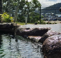 Colonial Palms Motor Inn - Accommodation Sunshine Coast