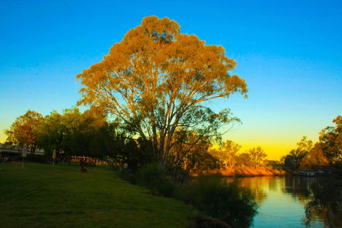 Cadell On The Murray Motel Resort - Accommodation Sunshine Coast 0