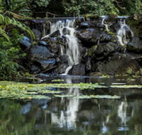Kondalilla Eco Resort - Accommodation Sunshine Coast