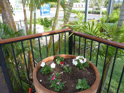 Caboolture Central Motor Inn, SureStay Collection By BW - Accommodation Sunshine Coast 6